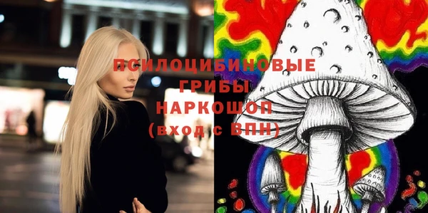 меф Инта